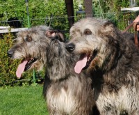 /album/fotogalerie-uvod/dsc-6933-jpg/