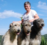 /album/fotogalerie-uvod/dsc-7034-jpg/