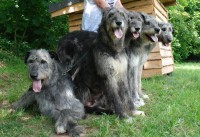 /album/fotogalerie-uvod/dsc-5202-jpg/